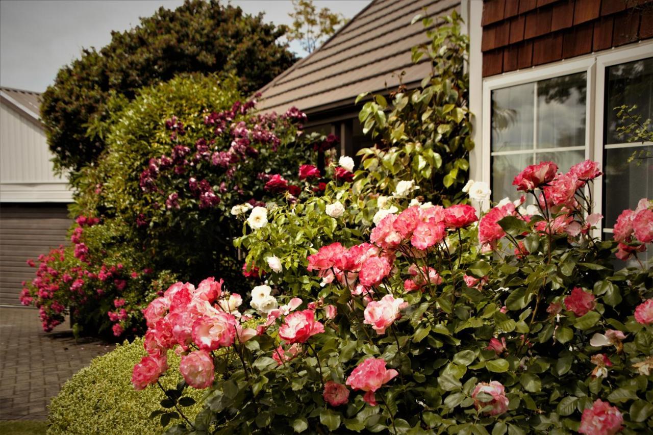 The Loft Bed And Breakfast Taupo Kültér fotó